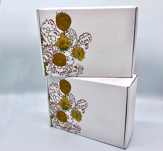 飛機盒彩箱定製批發 三層紙箱飛機盒生產廠家 飛(fēi)機盒彩箱定製批發 三層紙箱飛機盒生產廠家